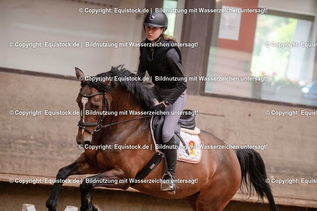 20250725_Vielseitigkeitslehrgang-Marbach_0641 | Foto: Thomas Hartig