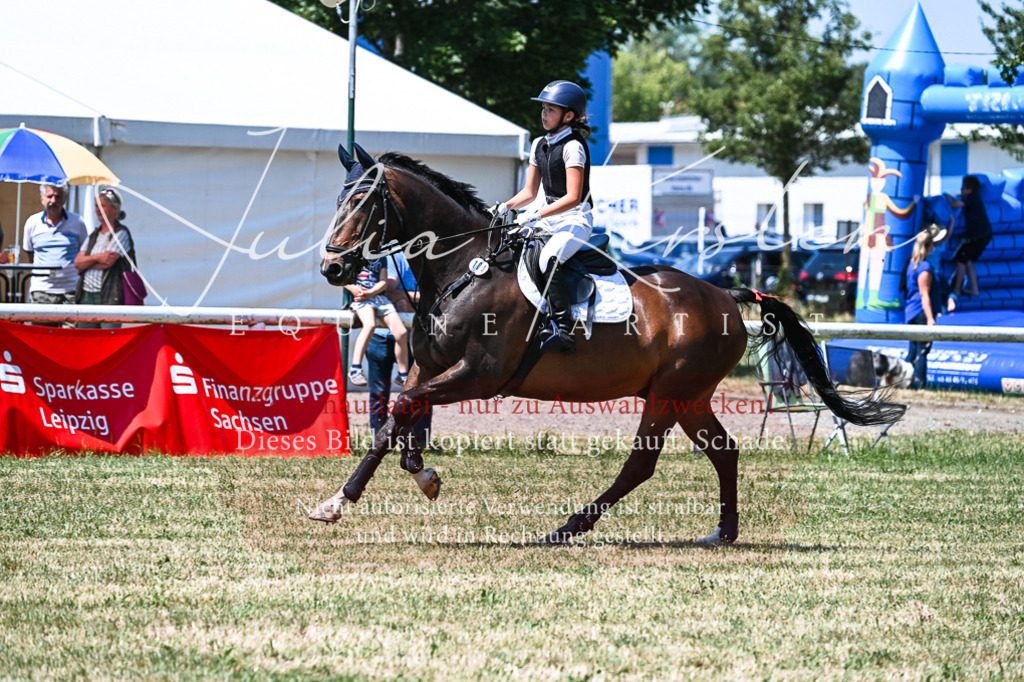 DSC_0530 | Pferde- und Turnierfotografie in Westsachsen. Pferdeportraits, Auftragszeichnungen und intuitive Kunst.