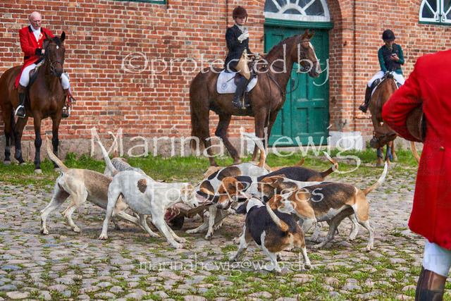 _MCH8562_Marina Hewig | Fotografie, FotoArt, PferdesportArt, Pferdesportfotografie, Landschaftsfotografie, Reisefotografie, Reise, Pferde - Realisiert mit Pictrs.com