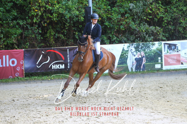 DKP40112 | Turniersportfotografie; Pferdefotografie; Dressurfotografie