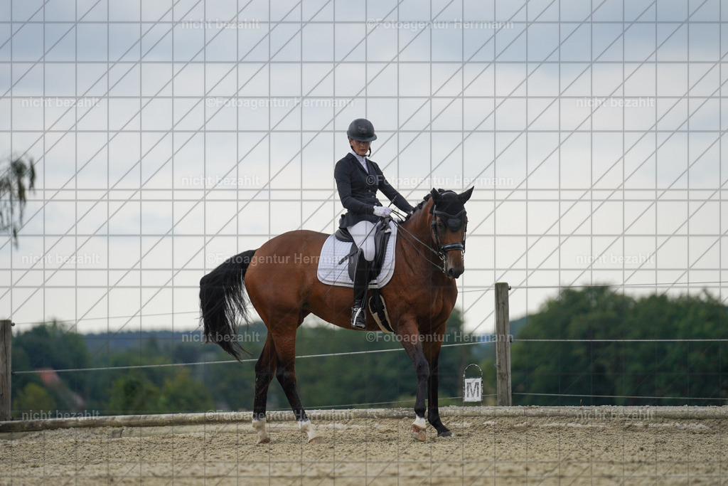 20230826-FAH06226 | Forstinning, 2023, Dressurturnier, Turniersportbilder, Turnierfotografen Bayern, Fotoagentur Herrmann, Reitsportfotografie, Turnierbilder