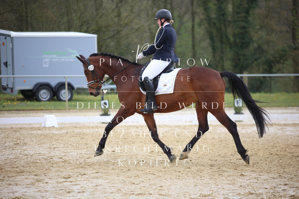 IMGT5278 | pl-fotografie