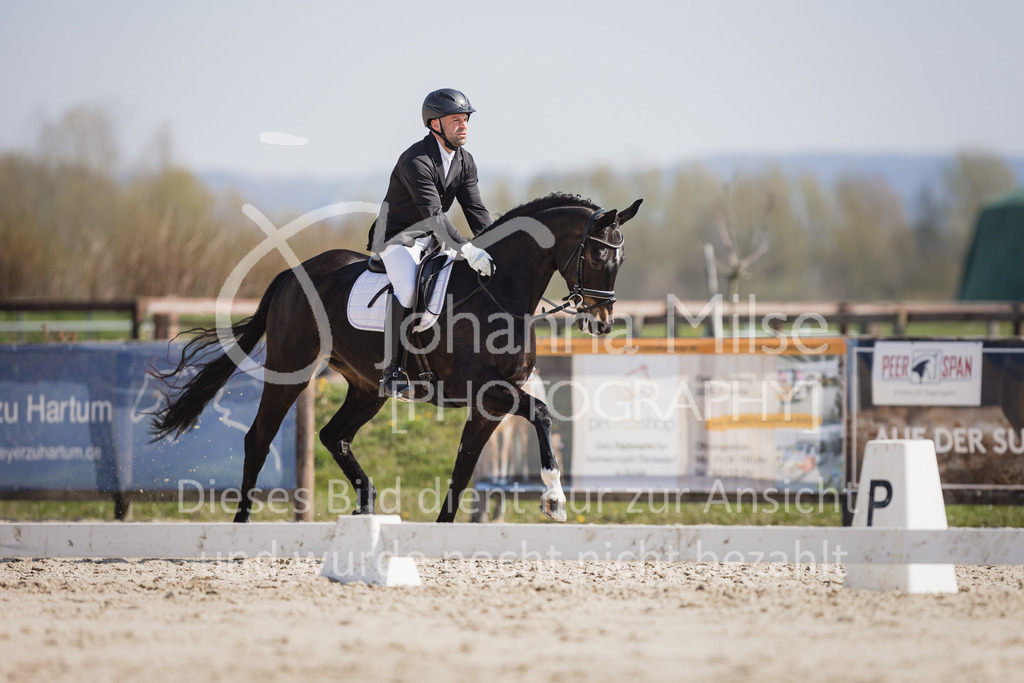 230410_Frühlingsfest_Dressurpf-M-121 | Deine schönsten Turniermomente als professionelle Fotos! Entdecke hochwertige Pferdesport-Fotografie im Online-Shop. Jetzt Fotos finden & bestellen!