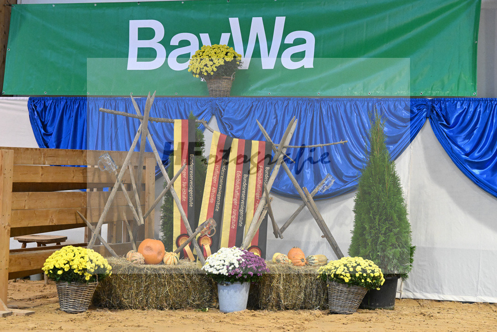 Schauprogramm_54222421 | hf-fotografie - Realisiert mit Pictrs.com