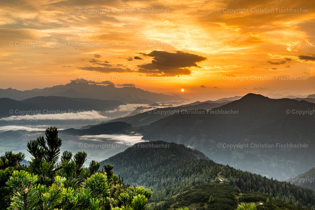 Fotos_Copyright_Chri_Fischbacher_Druck-234 | Bildershop Chri Fischbacher - Realisiert mit Pictrs.com