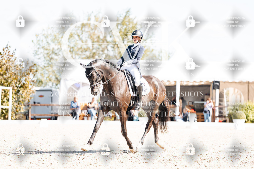 CK903410 | Turnierfotografie Pferdefotografie Trier Rheinland-Pfalz Pferdesport Reitsport Tierfotografie Sportfotografie Pferdevideo Pferdevideografie Equestrianvideography equestrianphotography  - Realisiert mit Pictrs.com