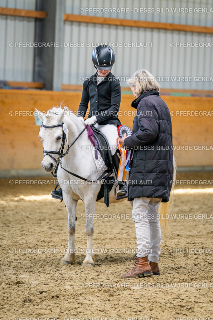 DSC02724 | Pferdegrafie