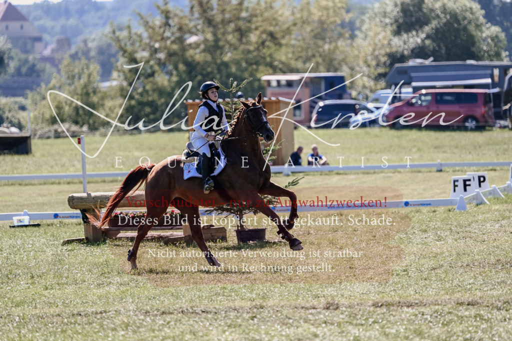 DSC_2658 | Pferde- und Turnierfotografie in Westsachsen. Pferdeportraits, Auftragszeichnungen und intuitive Kunst.