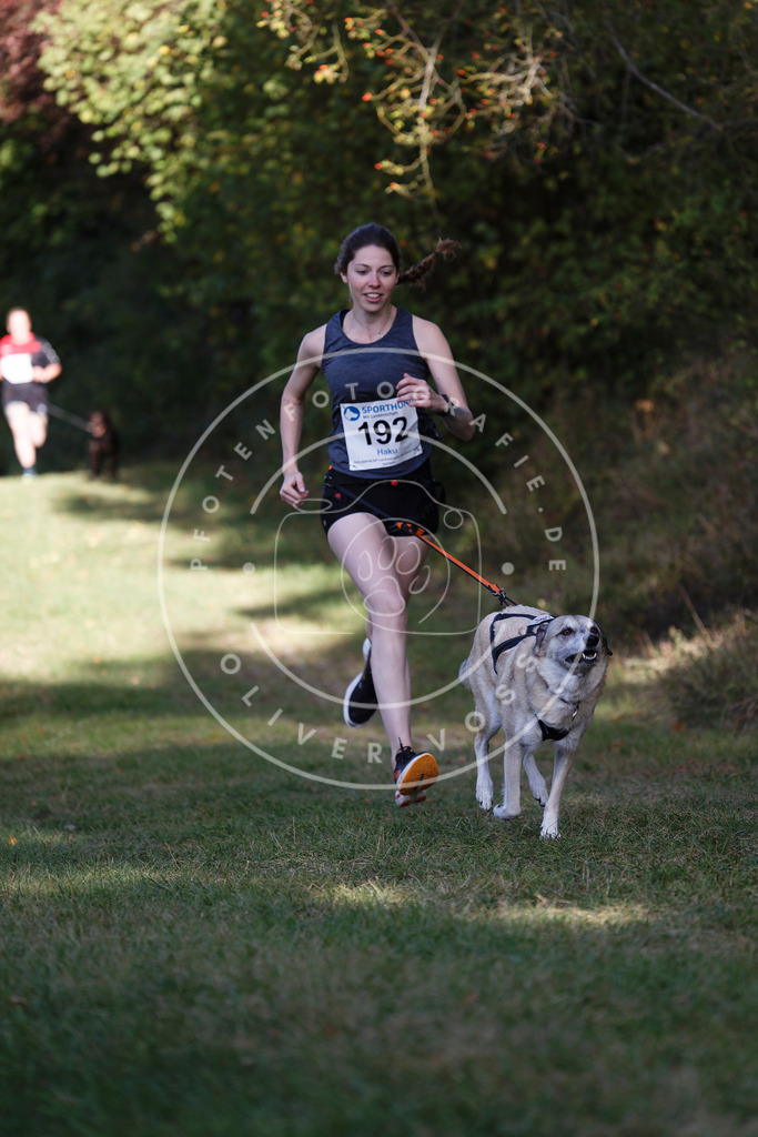 0L8A5662 | Hundefotografie, Tierfotograf, Pfotenfotografie, Fotoshooting Hund, Hunde Portrait, Hundesport, Hundeportraits, Heideshooting, Hunde, Sportfotograf, Hundefotograf, Turnierhundsport, THS,  - Realisiert mit Pictrs.com