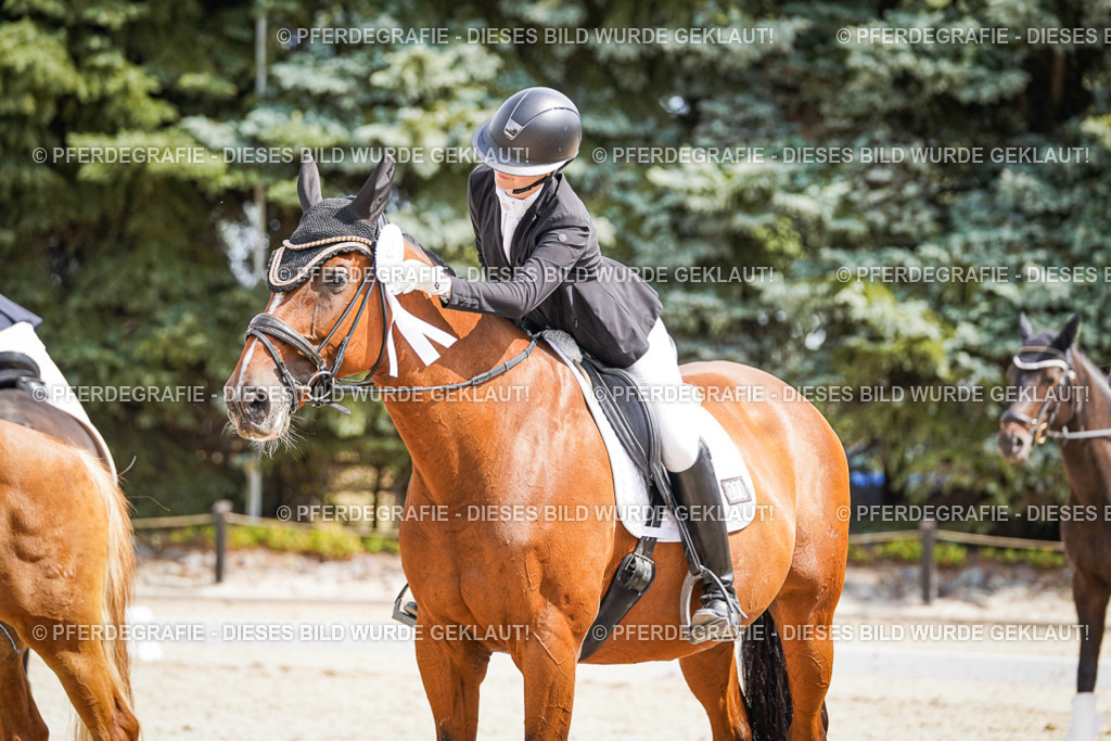 DSC02249 | Pferdegrafie