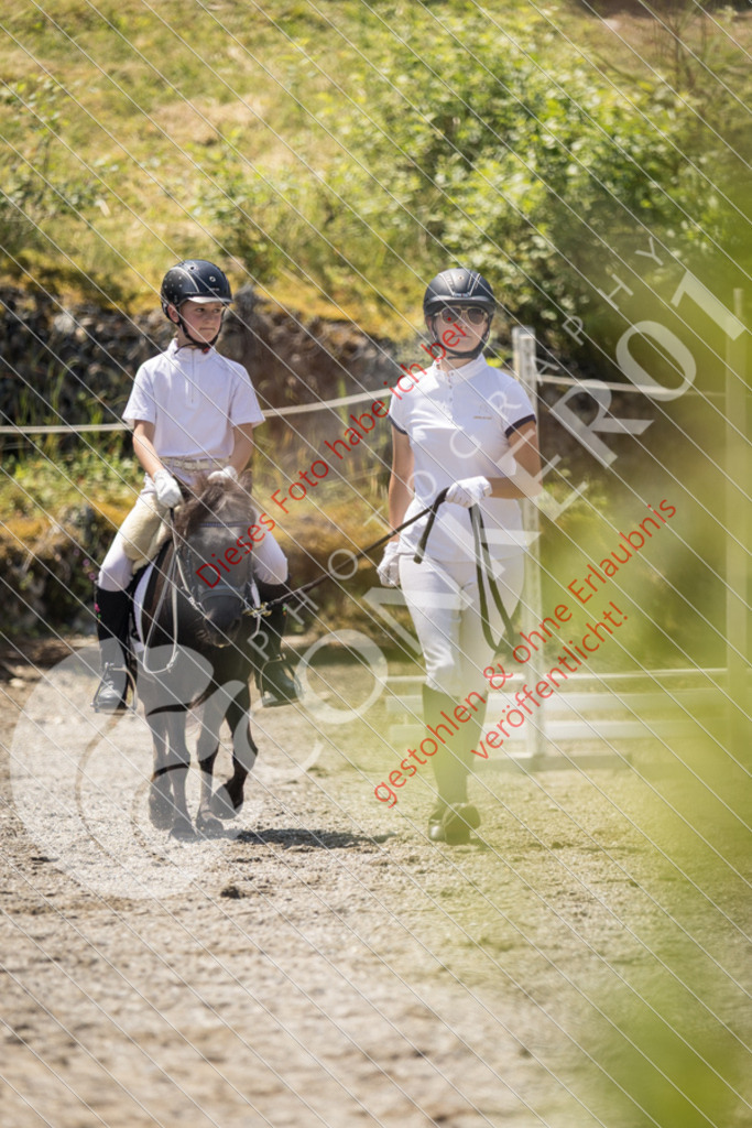 IMG_3447 | Sport-, Event- und Tierfotos in Profiqualität. Einfach auswählen, bestellen und herunterladen. Dein Moment – perfekt festgehalten.