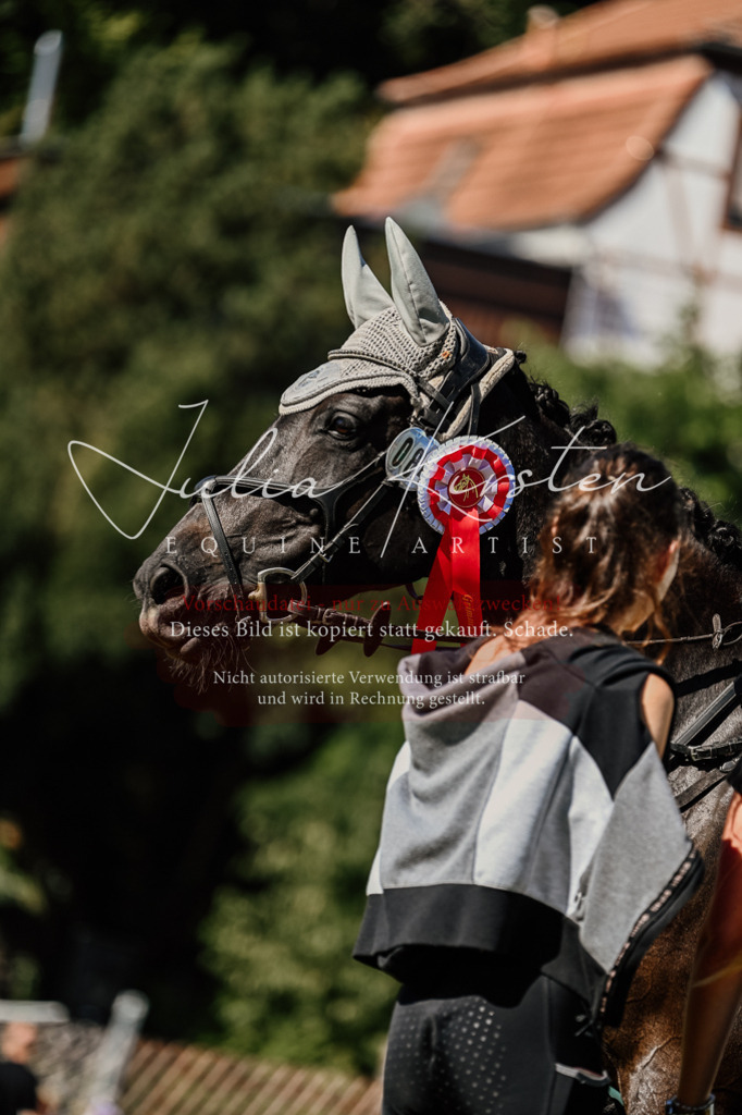 DSC_2621 | Pferde- und Turnierfotografie in Westsachsen. Pferdeportraits, Auftragszeichnungen und intuitive Kunst.
