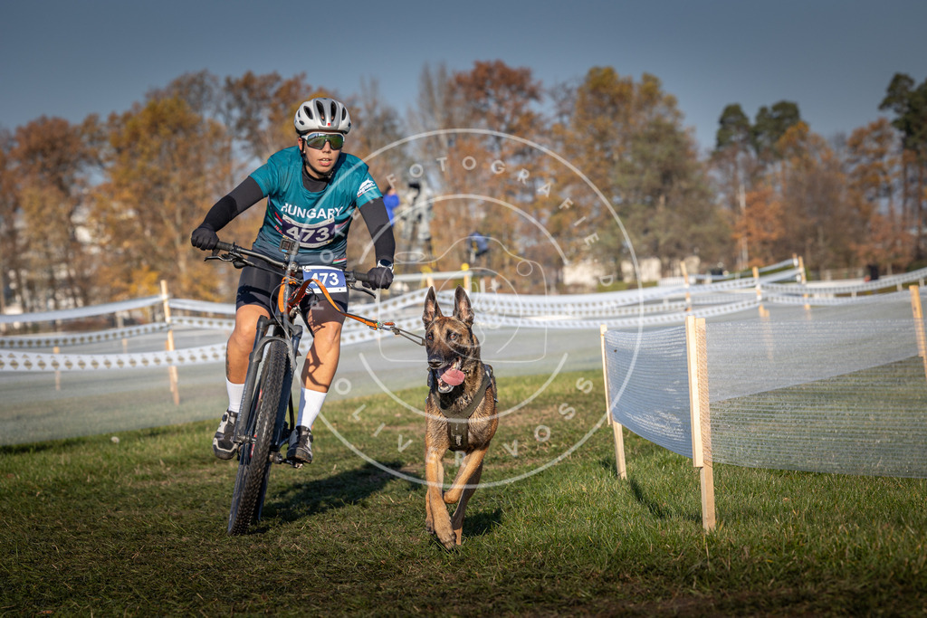 CaniXpix_0L8A4654 | Hundefotografie, Tierfotograf, Pfotenfotografie, Fotoshooting Hund, Hunde Portrait, Hundesport, Hundeportraits, Heideshooting, Hunde, Sportfotograf, Hundefotograf, Turnierhundsport, THS,  - Realisiert mit Pictrs.com