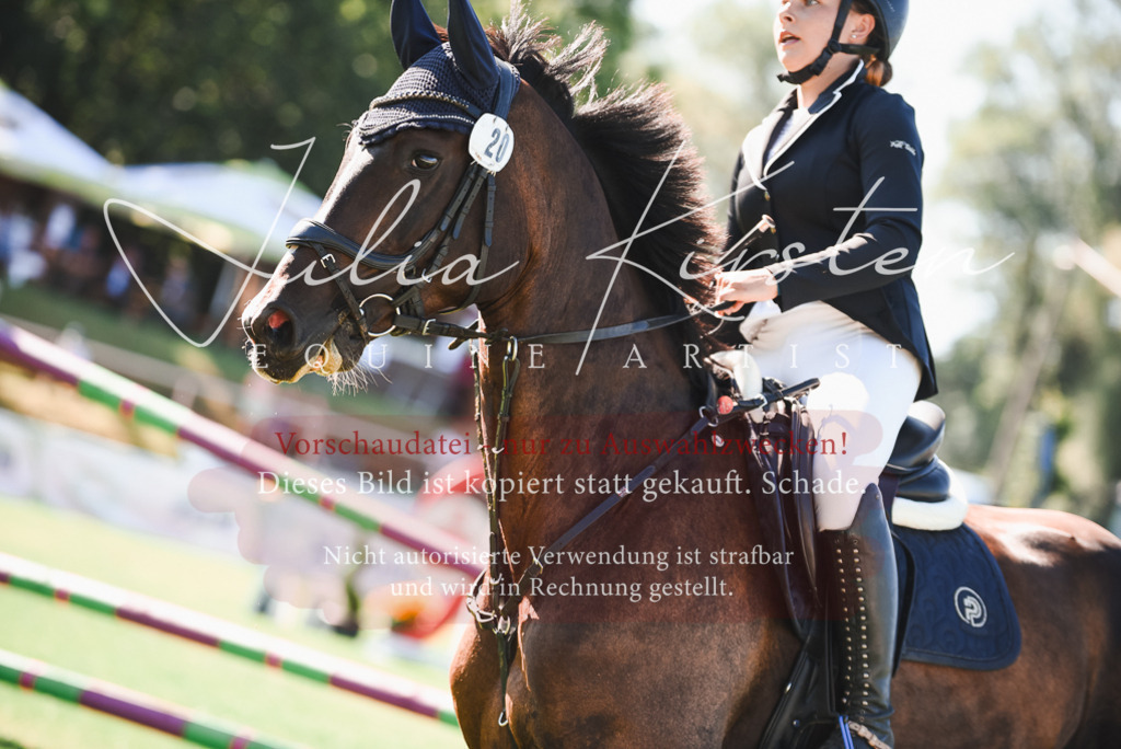 DSC_2509 | Pferde- und Turnierfotografie in Westsachsen. Pferdeportraits, Auftragszeichnungen und intuitive Kunst.