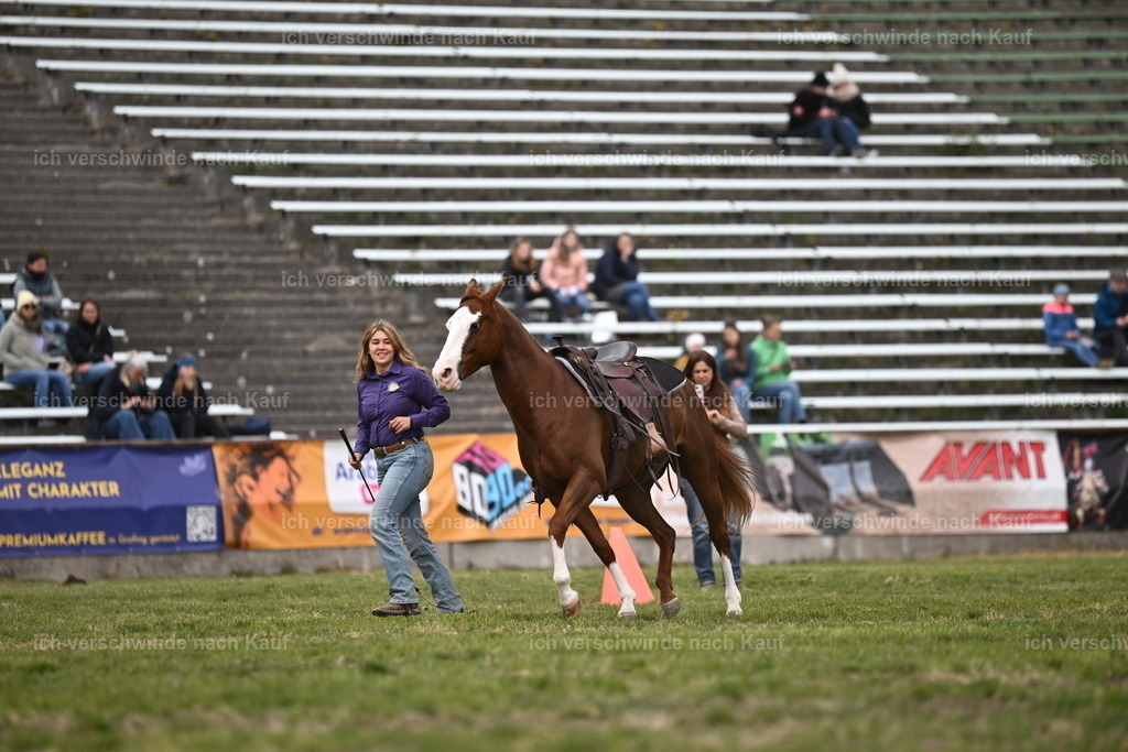 PI26_Show_Sara_Landvogt_226_1593.JPG | working equitationturnier fotograf videograf stoibphotography marixx film working equitation deutschland reitsport turnierfotografie eventfotografie equestrian events
