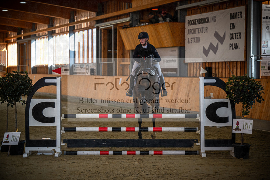 DOS_0837 | Entdecke hochwertige Reitturnierfotos von Foto Oger. Professionell, emotional und authentisch – jetzt Lieblingsmomente im Shop bestellen.Deutschlandweite Turnierfotografie. - Realisiert mit Pictrs.com