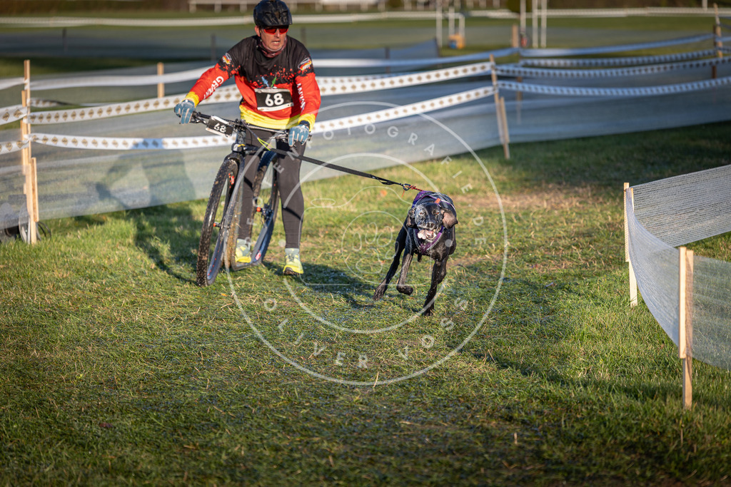 CaniXpix_0L8A3270 | Hundefotografie, Tierfotograf, Pfotenfotografie, Fotoshooting Hund, Hunde Portrait, Hundesport, Hundeportraits, Heideshooting, Hunde, Sportfotograf, Hundefotograf, Turnierhundsport, THS,  - Realisiert mit Pictrs.com