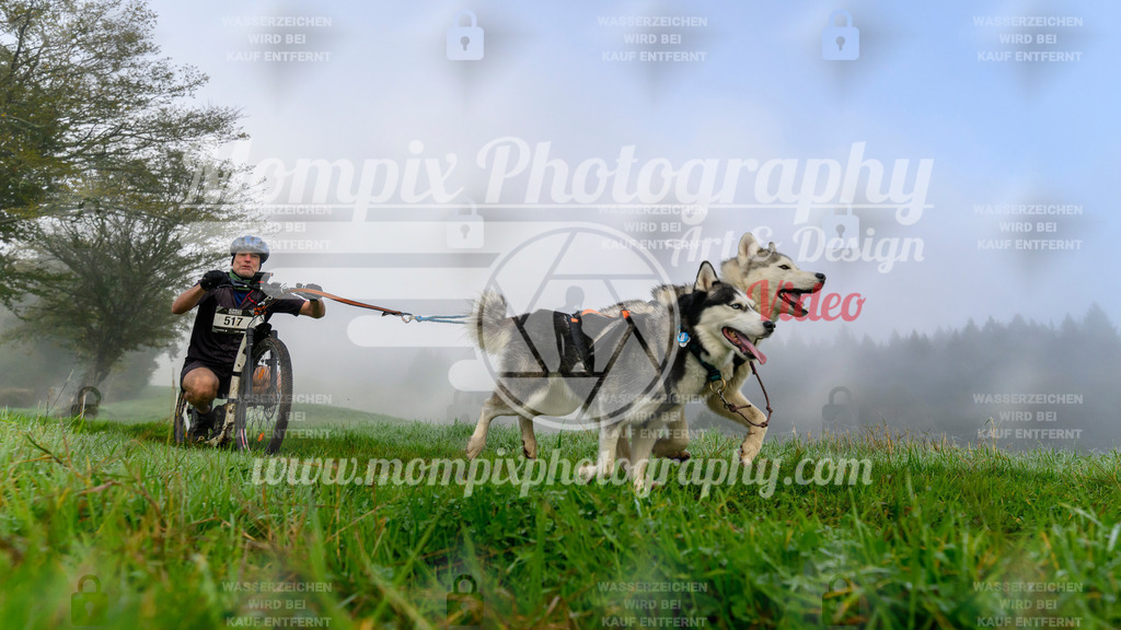 MompixPhotography_20TSB_E5_DS2-20 | PayLife