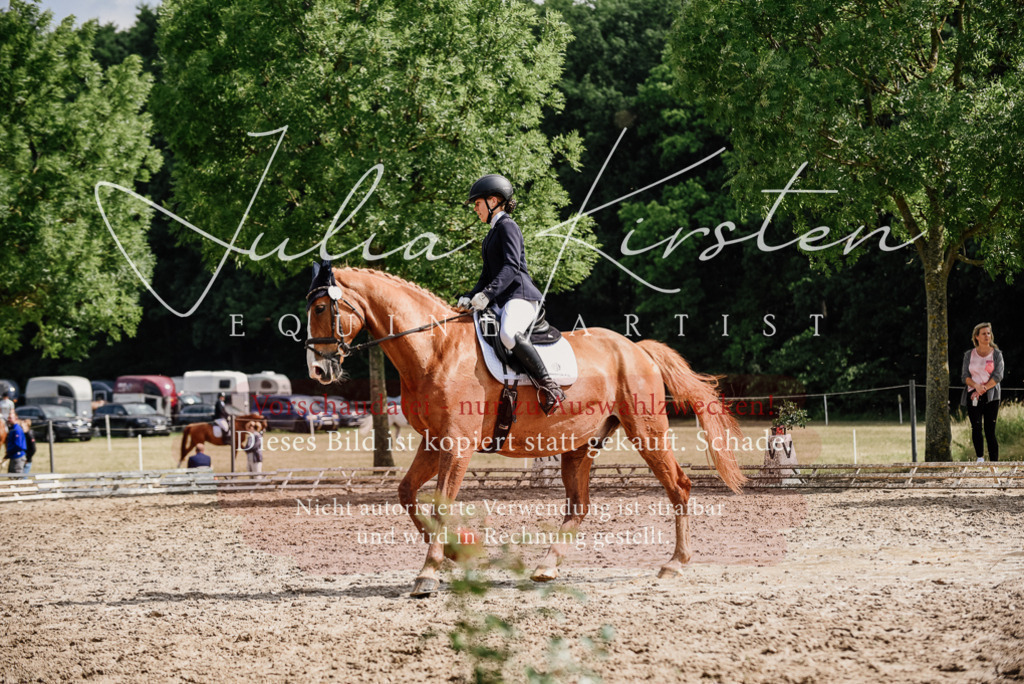 DSC_0027 | Pferde- und Turnierfotografie in Westsachsen. Pferdeportraits, Auftragszeichnungen und intuitive Kunst.