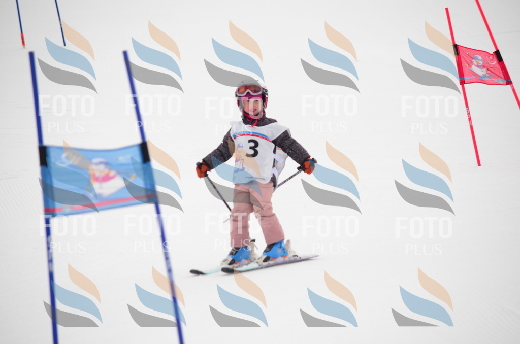 B9590 | holidayphoto