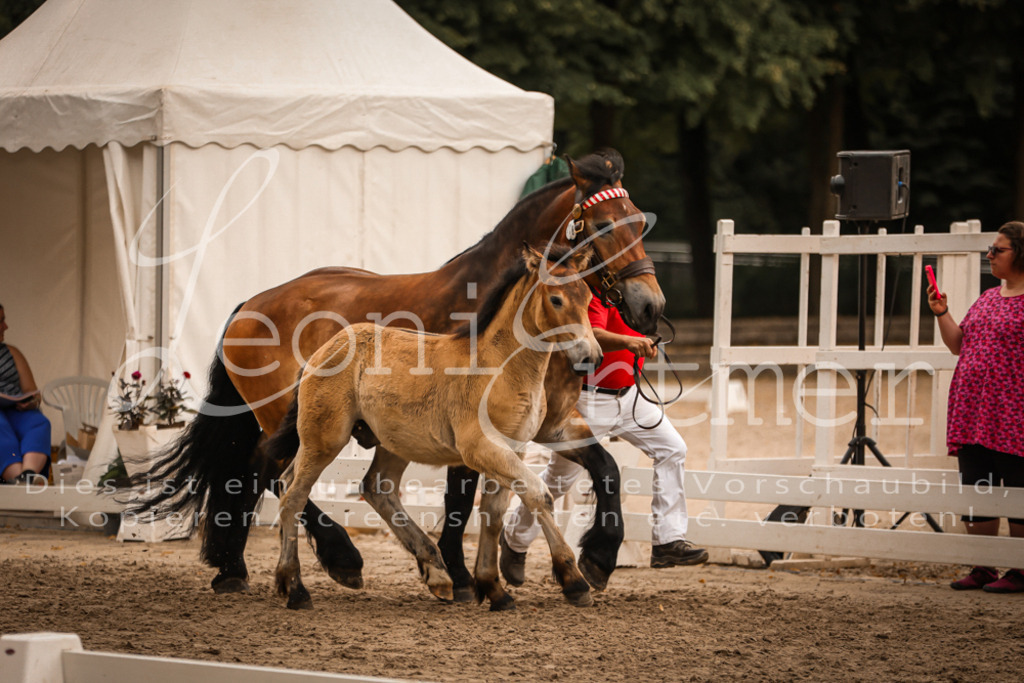 SaHF00079 | Leoni Ertmer Photography - Realisiert mit Pictrs.com