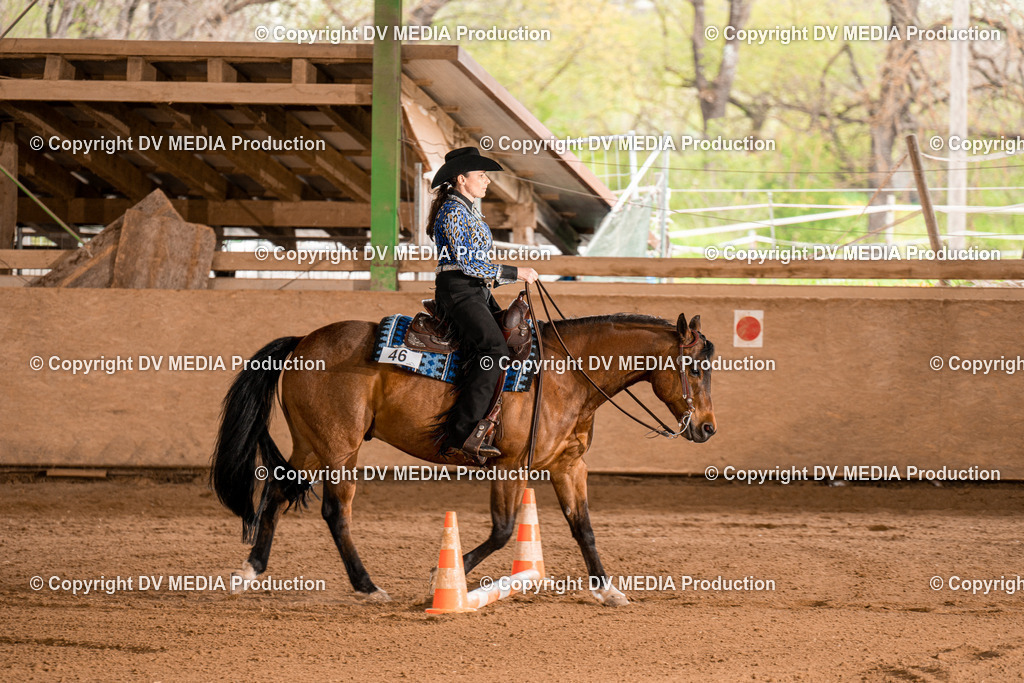 BA300880 | dv-media-shop - Realisiert mit Pictrs.com