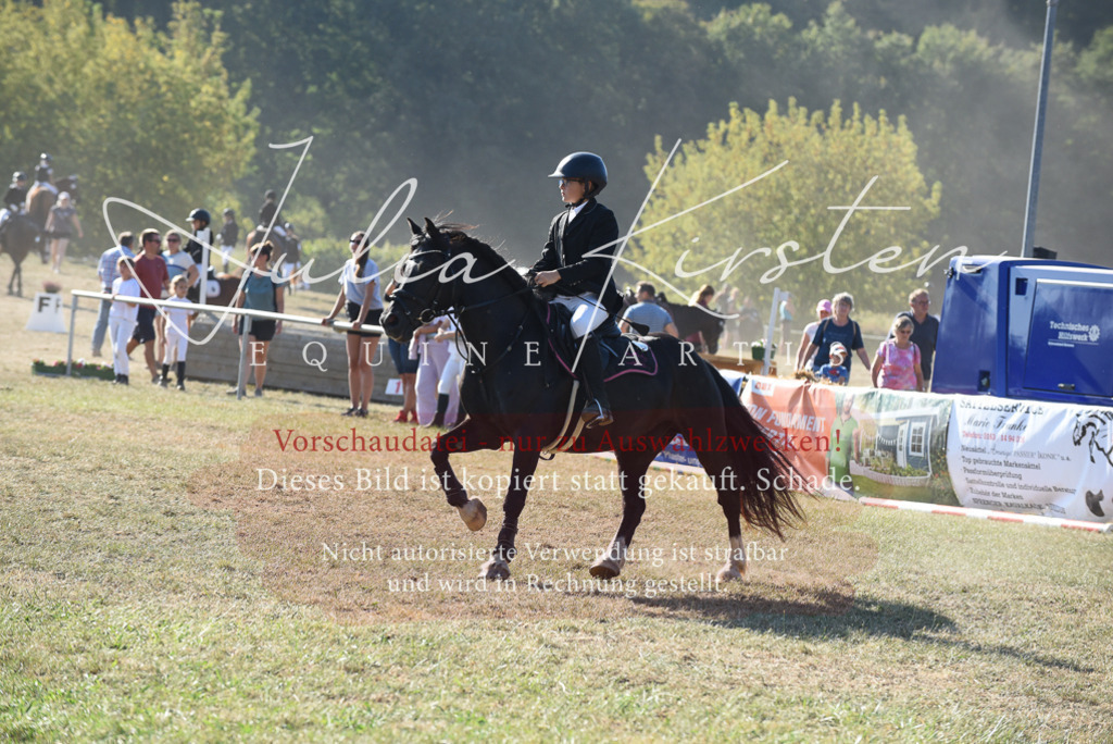 DSC_5749 | Pferde- und Turnierfotografie in Westsachsen. Pferdeportraits, Auftragszeichnungen und intuitive Kunst.