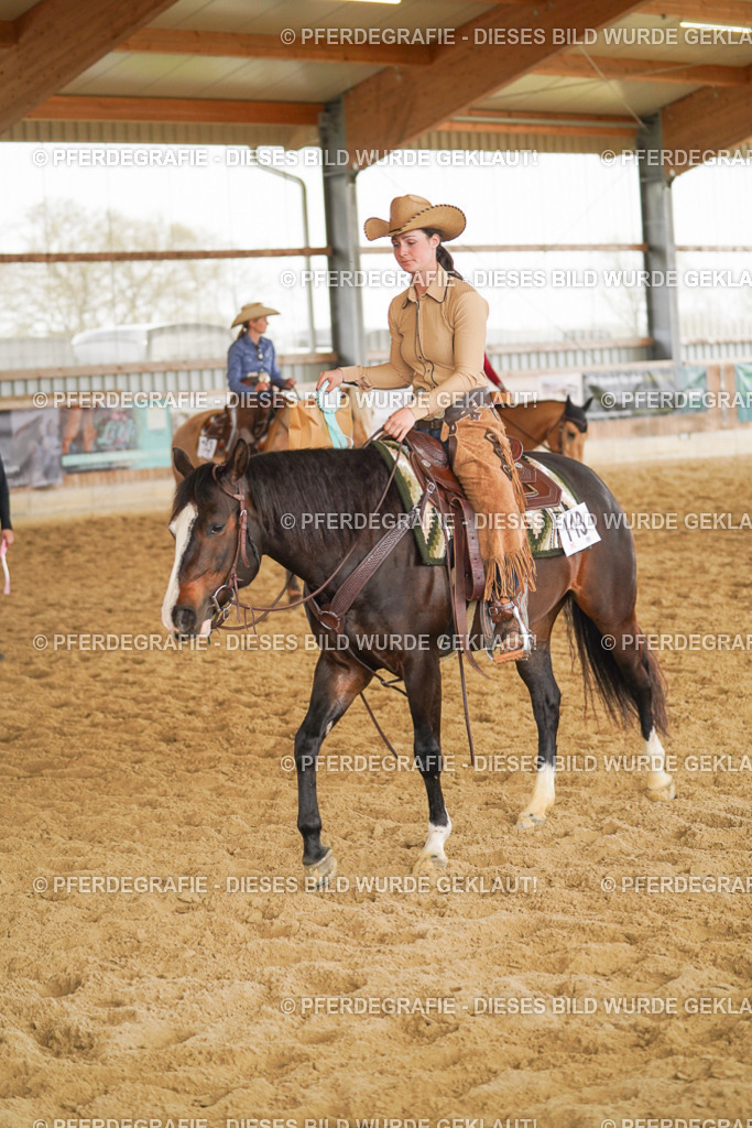 DSC06511 | Pferdegrafie