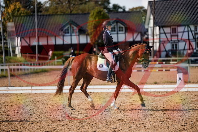 2026_10_03_Siefer-Hof_132757_Z63_87471003 | Professionelle Reitsport-, Turnier- und Eventfotografie von Robert Broda. Galerien mit ausgewählten und bearbeiteten Bildern direkt online ansehen und bestellen.