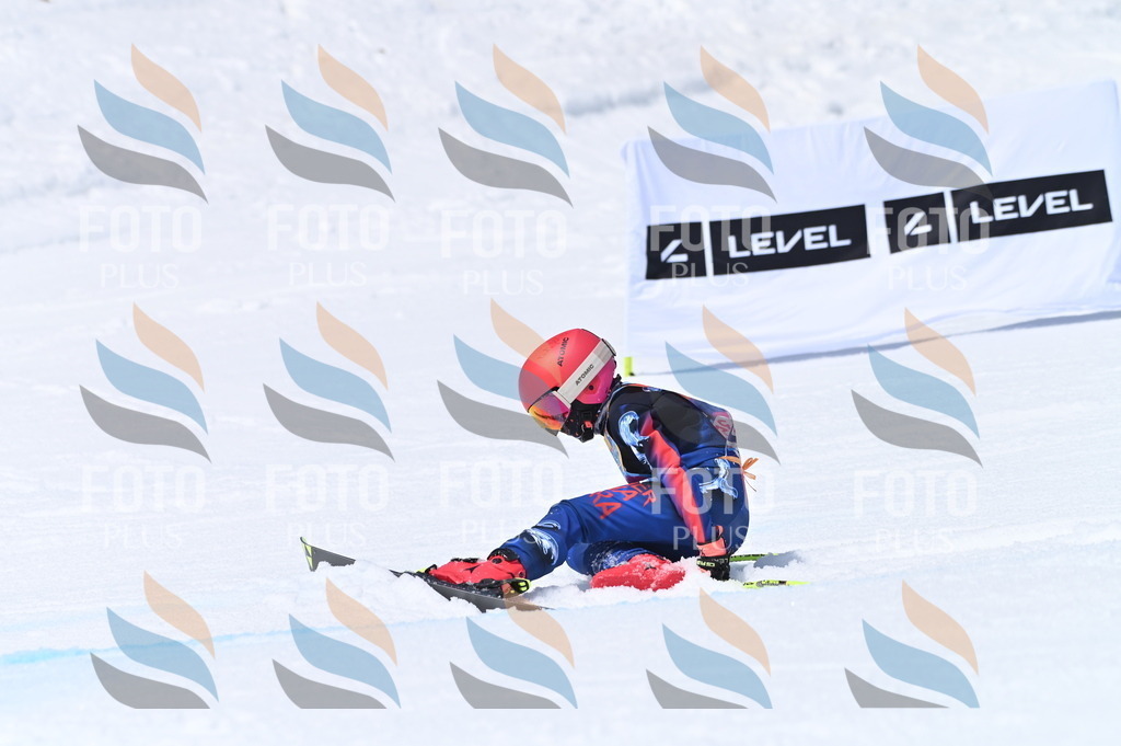 BGV_3695 | holidayphoto