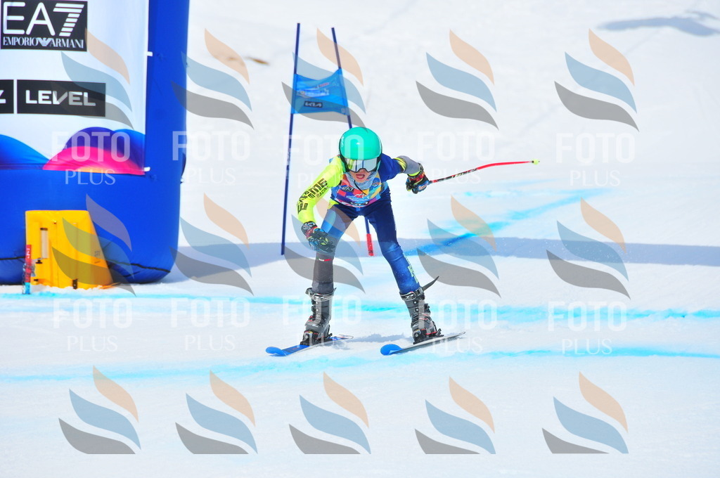 DSC_6302 | holidayphoto