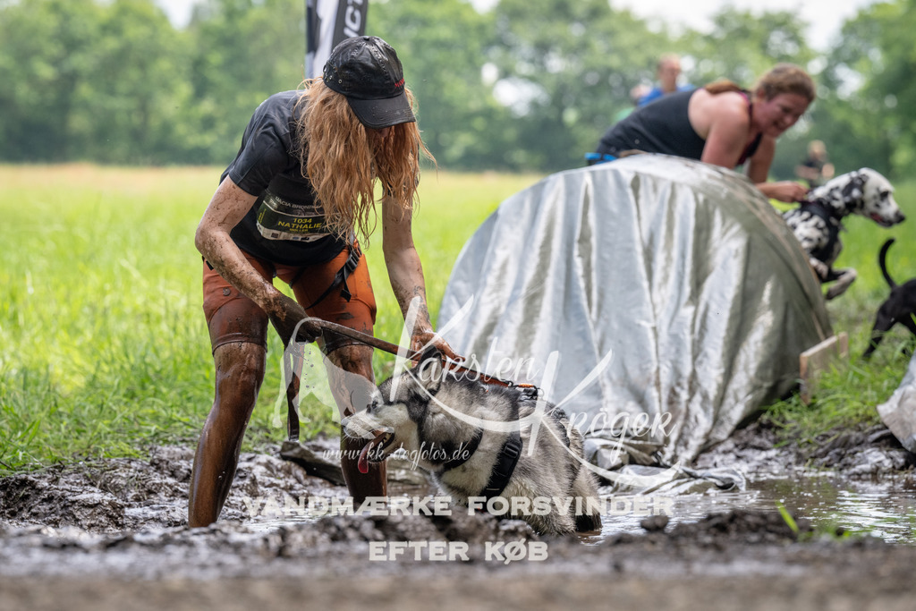 1138_ZZ93483 | kk-dogfotos