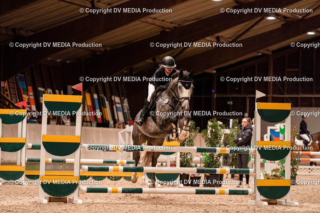 Springen Tag 2-397 | dv-media-shop - Realisiert mit Pictrs.com