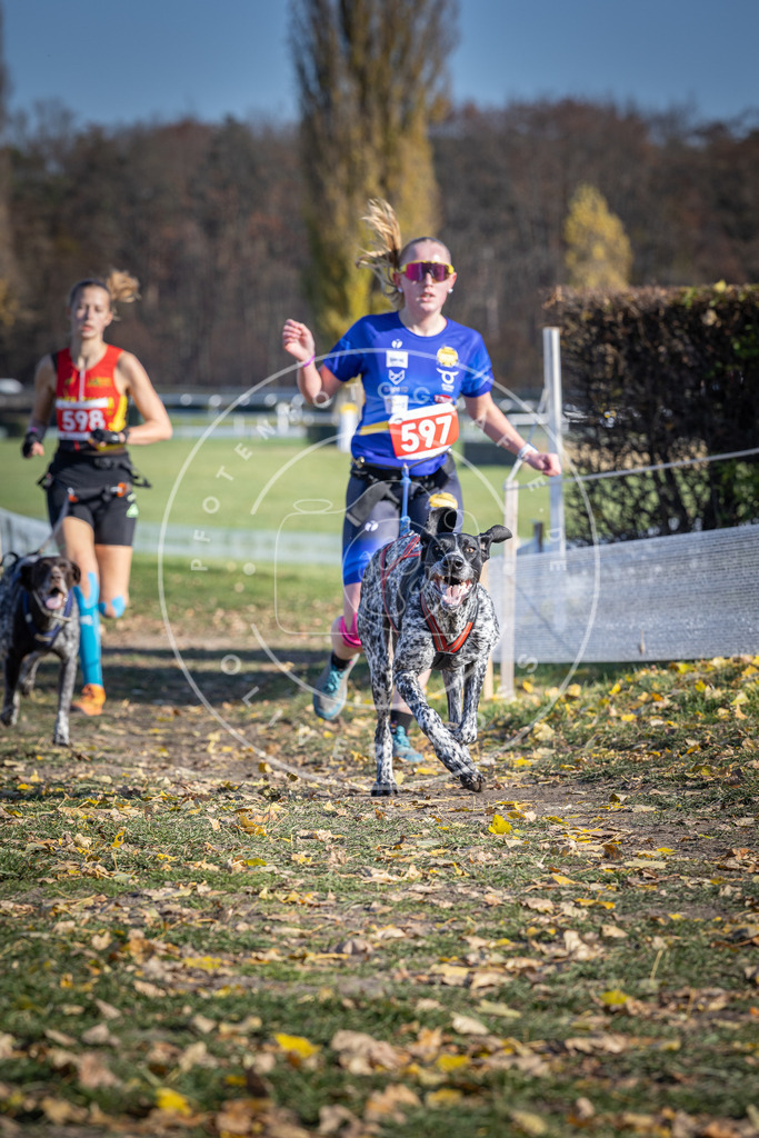 CaniXpix_DV3A9410 | Hundefotografie, Tierfotograf, Pfotenfotografie, Fotoshooting Hund, Hunde Portrait, Hundesport, Hundeportraits, Heideshooting, Hunde, Sportfotograf, Hundefotograf, Turnierhundsport, THS,  - Realisiert mit Pictrs.com