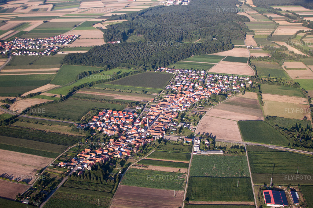 Luftbild: Ortsansicht von Westen in Erlenbach bei Kandel im Bundesland Rheinland-Pfalz in Deutschland. Foto: IMG_51003.jpg vom 22.07.2012 durch Werner Riehm/FLY-FOTO.de