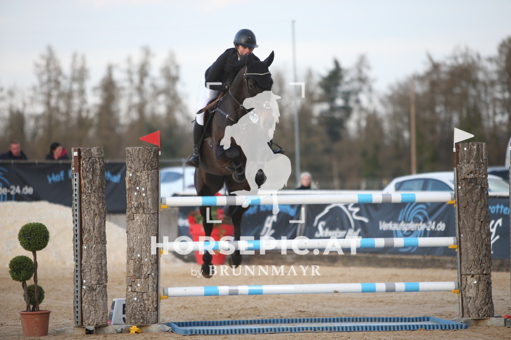 AS8V8872 | Willkommen bei Brunnmayr - Design & Fotografie – Ihrem Spezialisten für Reitturniere und Pferdeveranstaltungen in Oberösterreich, Salzburg und Bayern! Seit über 17 Jahren sind wir leidenschaftlich dabei.