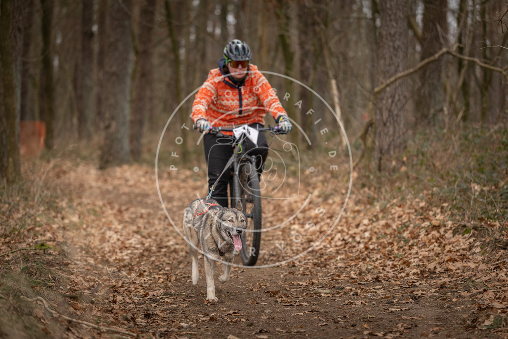 Pfotenfotografie_DV3A7136 | Hundefotografie, Tierfotograf, Pfotenfotografie, Fotoshooting Hund, Hunde Portrait, Hundesport, Hundeportraits, Heideshooting, Hunde, Sportfotograf, Hundefotograf, Turnierhundsport, THS,  - Realisiert mit Pictrs.com