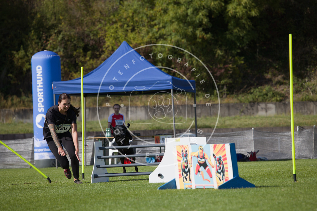 0L8A8598 | Hundefotografie, Tierfotograf, Pfotenfotografie, Fotoshooting Hund, Hunde Portrait, Hundesport, Hundeportraits, Heideshooting, Hunde, Sportfotograf, Hundefotograf, Turnierhundsport, THS,  - Realisiert mit Pictrs.com