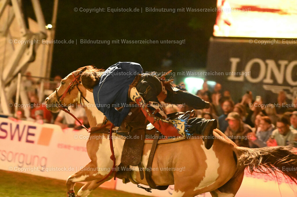 20230526_Pferdenacht_1208 | equistock