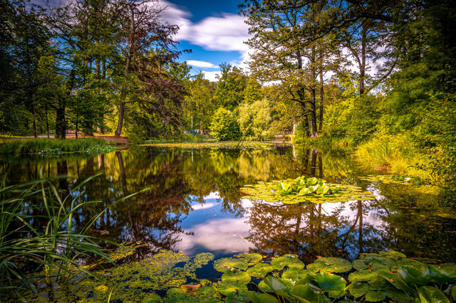 Wald und Wolken spiegeln sich im See | Professionelle Natur- & Landschaftsfotos als Poster, auf Leinwand & viele mehr. Wähle aus einer Vielzahl an Formaten & Materialien Dein perfektes Bild. - Realisiert mit Pictrs.com