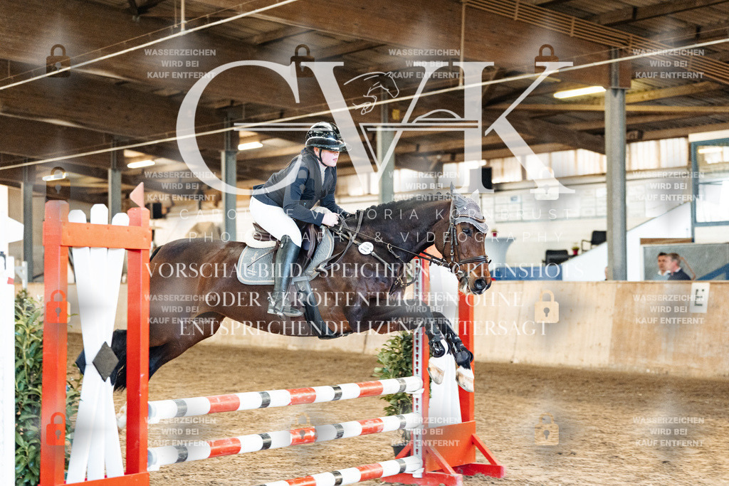 CK904023 | Turnierfotografie Pferdefotografie Trier Rheinland-Pfalz Pferdesport Reitsport Tierfotografie Sportfotografie Pferdevideo Pferdevideografie Equestrianvideography equestrianphotography  - Realized with Pictrs.com