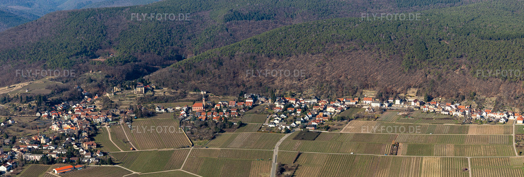 Luftbild: Weinbergs- Landschaft der Winzer- Gebiete an der Weinstraße im Ortsteil Haardt in Neustadt im Bundesland Rheinland-Pfalz in Deutschland. Foto: IMG_112762-Pano.jpg vom 27.02.2019 durch Werner Riehm/FLY-FOTO.deAuflösung des Originals: 10403 x 3520 px