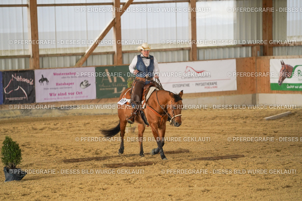 DSC05137 | Pferdegrafie