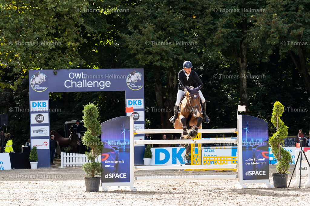 OWL.Ch.2024_Einritt mit Sprung-02016 | Der professionelle Turnierfotograf ✓ Reitsport Bilder ▷ Shop ✚ günstig & schnell ✚ mit Zugang für Redakteure