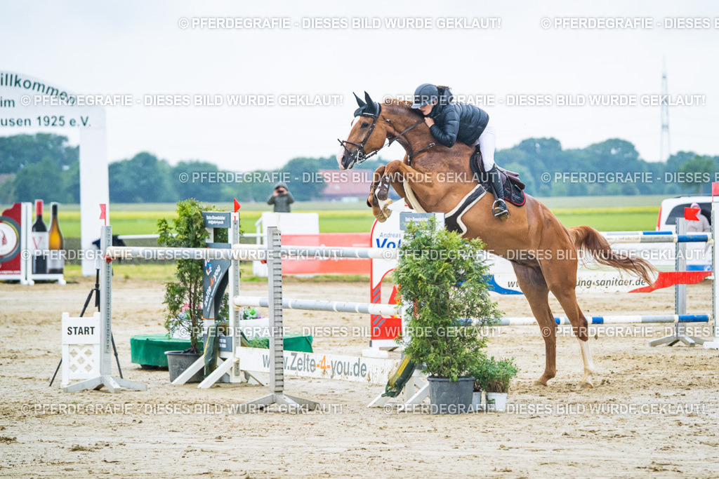 DSC00185 | Pferdegrafie