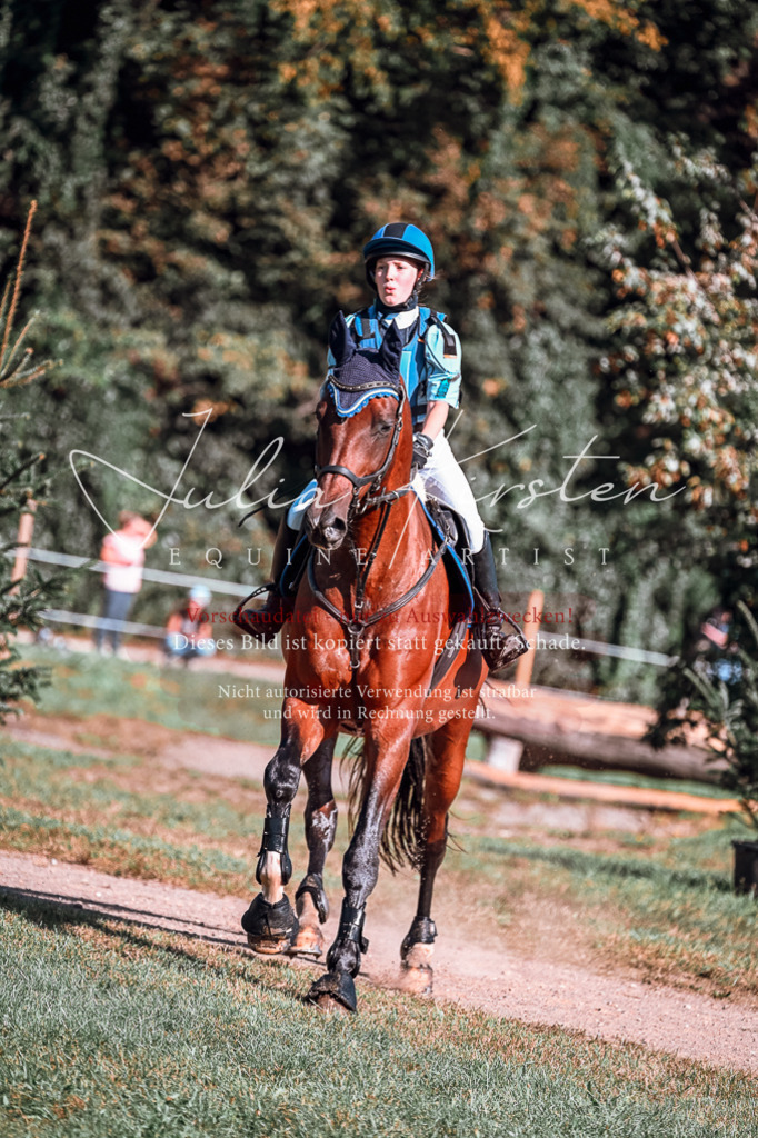 DSC_0829 | Pferde- und Turnierfotografie in Westsachsen. Pferdeportraits, Auftragszeichnungen und intuitive Kunst.