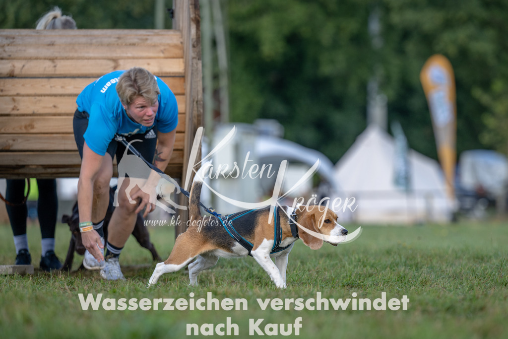 1014_ZZ91968 | kk-dogfotos