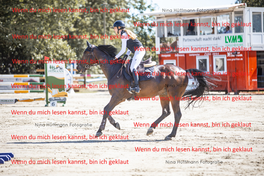 BK1A6805 | Turnierbilder Turnierfotos Nina Hüffmann Turnierfotografie Pferdefotografie Tierzeichnung Haustierzeichnung Pferdezeichnung Hundezeichnung Videograf  - Realisiert mit Pictrs.com