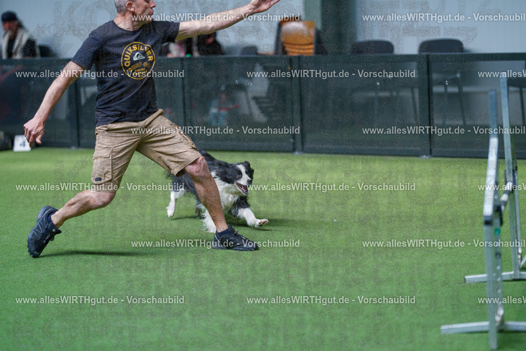@allesWIRTHgut_Tierfotografie - www.allesWIRTHgut.de - 2604261509-7R504669 | Professionelle Tierfotografie in Mönchengladbach von Daniel Wirth (allesWIRTHgut). Liebevolle & natürliche Bilder von Hunden & Katzen für unvergessliche Erinnerungen.