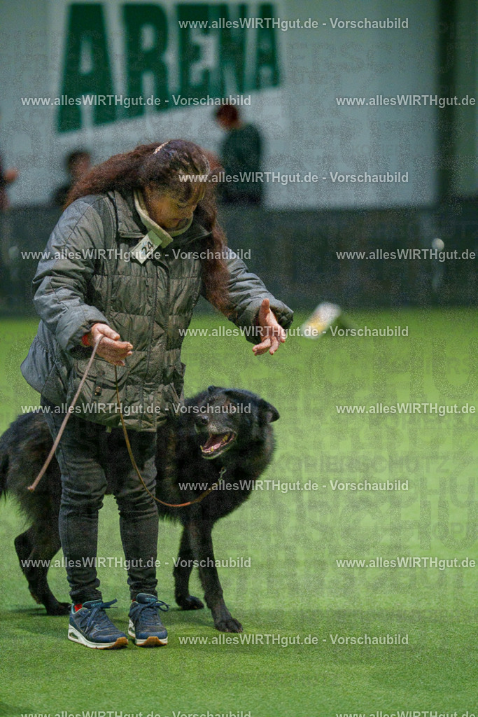 7R504990 | Professionelle Tierfotografie in Mönchengladbach von Daniel Wirth (allesWIRTHgut). Liebevolle & natürliche Bilder von Hunden & Katzen für unvergessliche Erinnerungen.